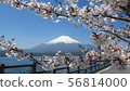 Fuji Five Lakes_Lake Yamanaka and Sakura_I421I6298 56814000