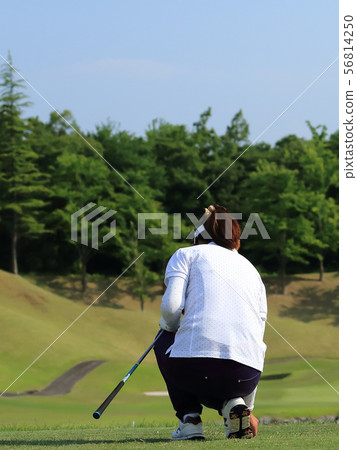 Woman hitting the tee shot Woman hitting the tee shot 56814250