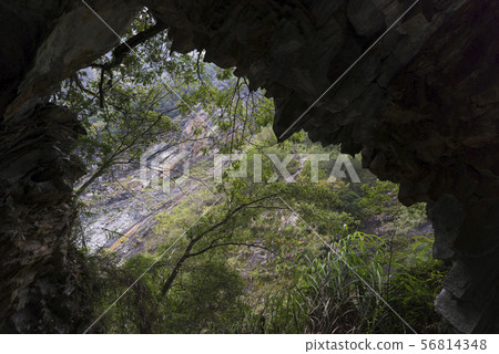 太魯閣國家公園白楊步道鬼斧神工的大理岩峽谷景觀 太魯閣國家公園白楊步道鬼斧神工的大理岩峽谷景觀 56814348