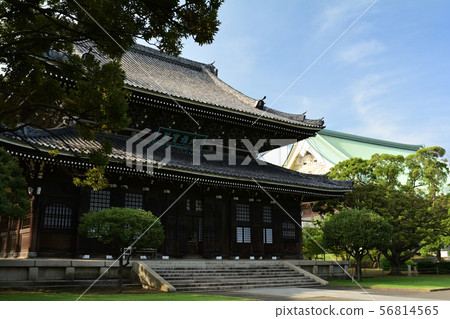 Sojiji，Yokohama 56814565