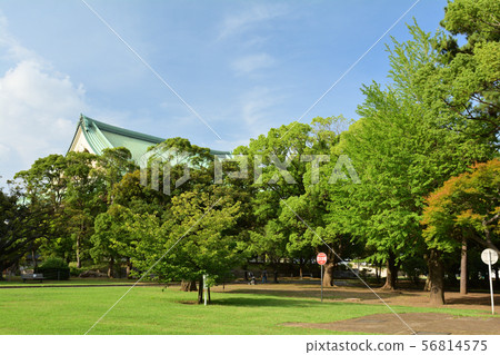 Sojiji，Yokohama 56814575