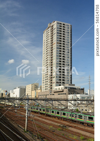 橫濱/鶴見 56814708