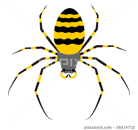 蜘蛛蜘蛛例證剪貼美術 56814710