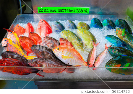 牧誌公共市場鮮魚店 牧誌公共市場鮮魚店 56814733