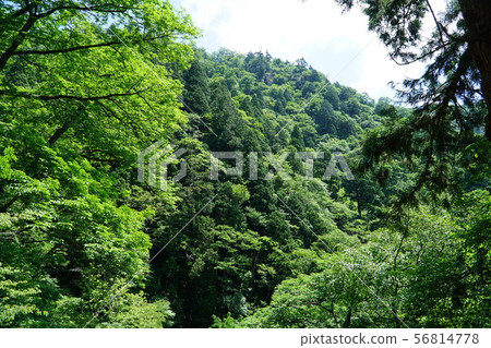The summit of Ushiroyama seen from Ushiroyama Gyoshado, Mimasaka City, Okayama Prefecture 56814778