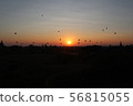 Bagan Ruins Sunrise Balloon 56815055