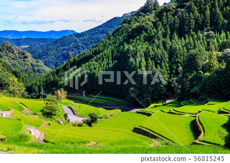 Tsuzura Rice Terrace [福岡縣浮世市] 56815245