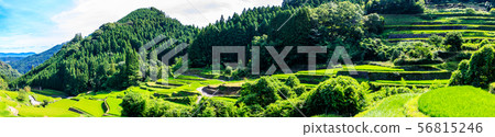 Tsuzura Rice Terrace Panorama [Ukiha City, Fukuoka Prefecture] 56815246