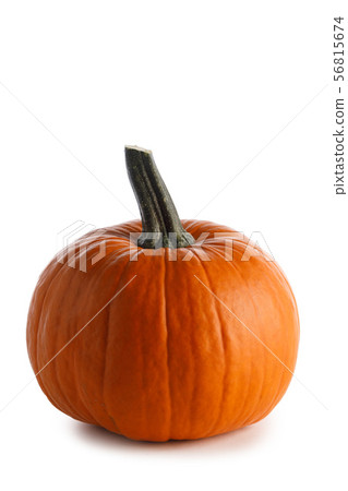 One orange pumpkin 56815674
