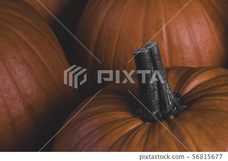 Many pumpkins background 56815677