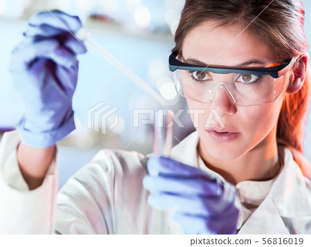Young scientist pipetting in life science laboratory. Young scientist pipetting in life science laboratory. 56816019