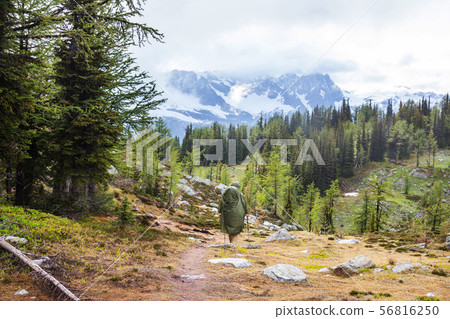 Hike in Canada 56816250