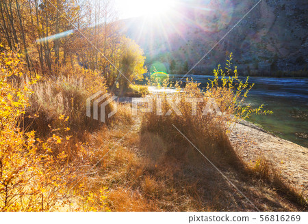 Autumn lake 56816269