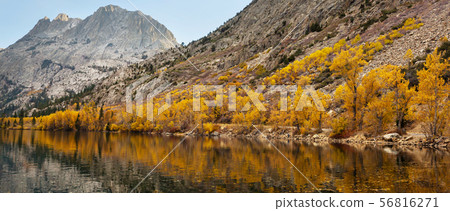 Autumn lake 56816271