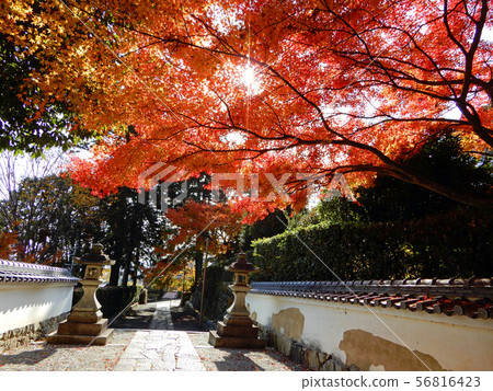 Shiga-in Gate Ruins Shiga-in Gate Ruins 56816423
