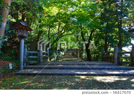 Hakuyama Hiba Shrine approach 56817070