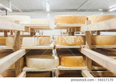 Cow milk cheese, stored in a wooden shelves Cow milk cheese, stored in a wooden shelves 56817170