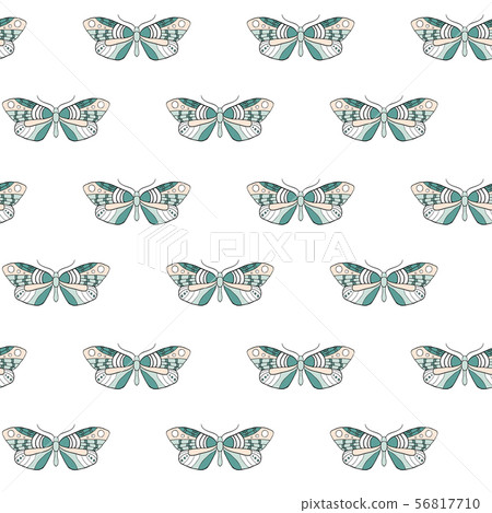 Butterfly seamless pattern Butterfly seamless pattern 56817710