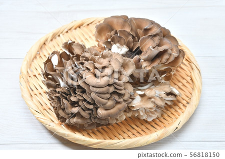 舞茸蘑菇。 56818150