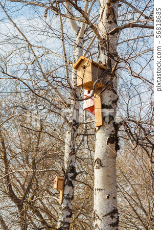 Nesting box on a tree 56818685