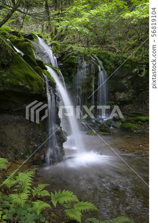 Sarusaki Falls（Hirogata Prefecture Bigata-gun） 56819104