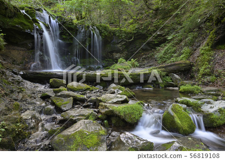 Sarusaki Falls（Hirogata Prefecture Bigata-gun） 56819108