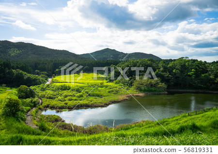 Landscape looking down from the hill 56819331