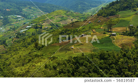在京那巴魯山婆羅洲島中間的一個村莊 在京那巴魯山婆羅洲島中間的一個村莊 56819587