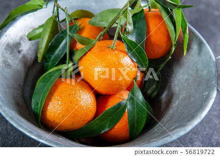 closeup of tangerines with leaves in a metal bowl 56819722