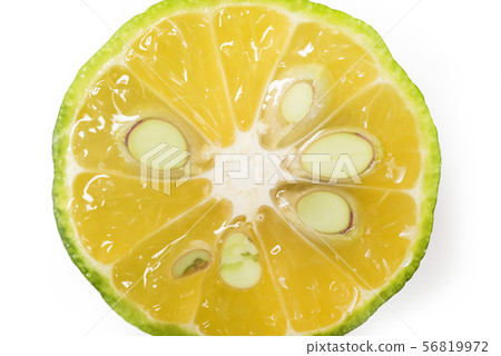 扁實檸檬 56819972