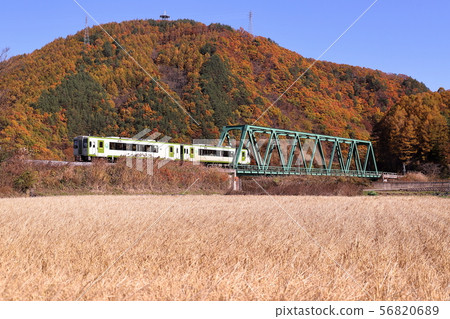 Koumi線車輛2(Yatsugatake Kogen線)在秋葉中運行 Koumi線車輛2(Yatsugatake Kogen線)在秋葉中運行 56820689