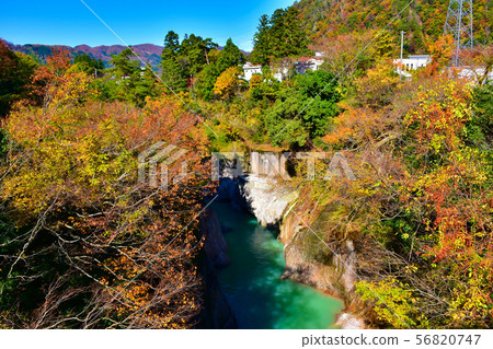 Tetori Gorge Komonbashi Autumn leaves 56820747