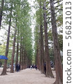 木 56821013
