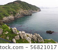 海 56821017