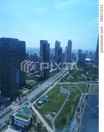 building building 56821031