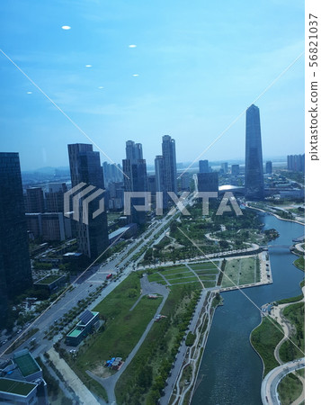 skyscraper skyscraper 56821037