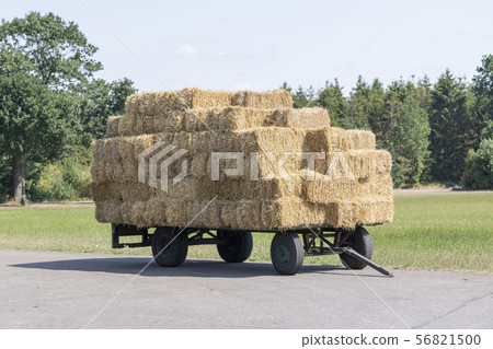 Plain old farm wagon with straw bales stacked. 56821500