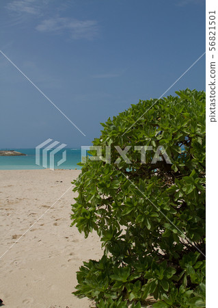 Okinawa 38 56821501