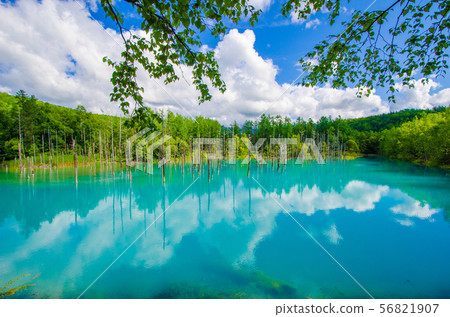 Aoiike Pond, Biei-cho, Hokkaido 56821907