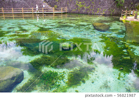 Maruike Spring (Maruike Park) Maruike Spring (Maruike Park) 56821987