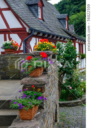 Flower pots at Monreal in Eifel region, Germany 56822509