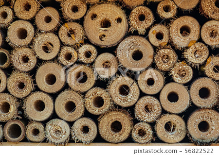 Cross section of stacked cut tree trunks. Cross section of stacked cut tree trunks. 56822522