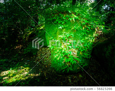 Until the end of the day Until the end of the day 56823266