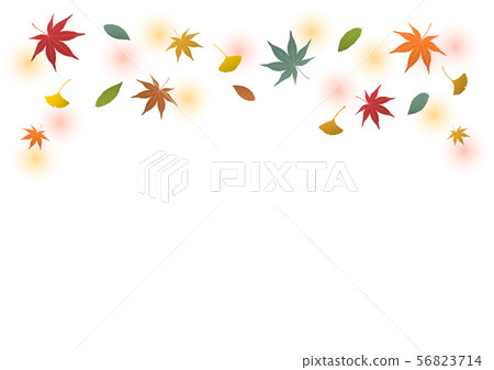 Fallen leaves, autumnal leaves, ginkgo 56823714