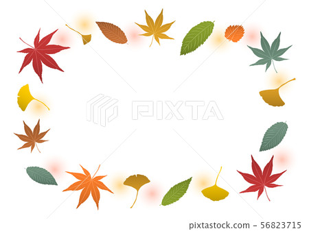 Fallen leaves autumn leaves ginkgo illustration Fallen leaves autumn leaves ginkgo illustration 56823715