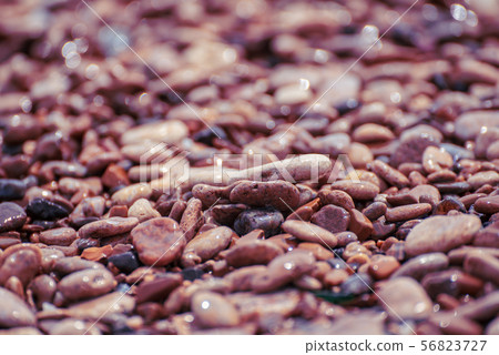 Sea pebble background 56823727