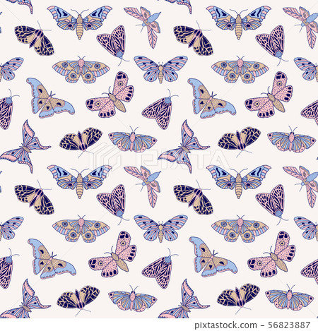 pattern with butterflies and moths - Stock Illustration [56823887] - PIXTA