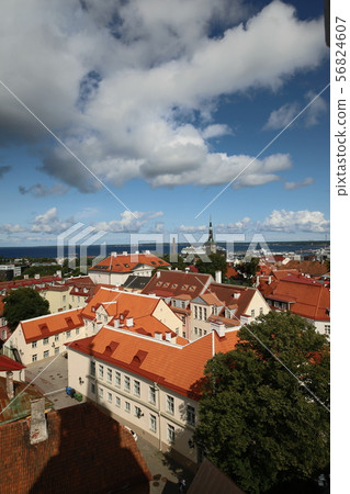 Estonian Tallinn old town cityscape 56824607