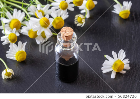 A bottle of dark blue chamomile essential oil A bottle of dark blue chamomile essential oil 56824726