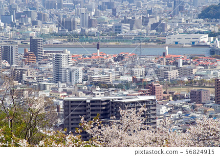 View of Hiroshima city from Suzugamine 56824915